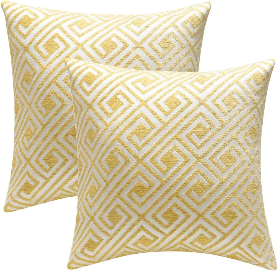Decorative Throw Pillow Covers Cushion Covers for Couch Bedroom Car Throw Pillow Cases Protectors 100% Cotton Pack of 2 Square Home Decor Design Set Cushion Case