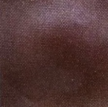 Dura Skin