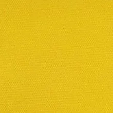 Dura Skin