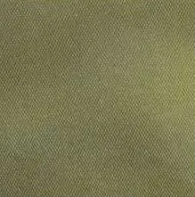 Dura Skin