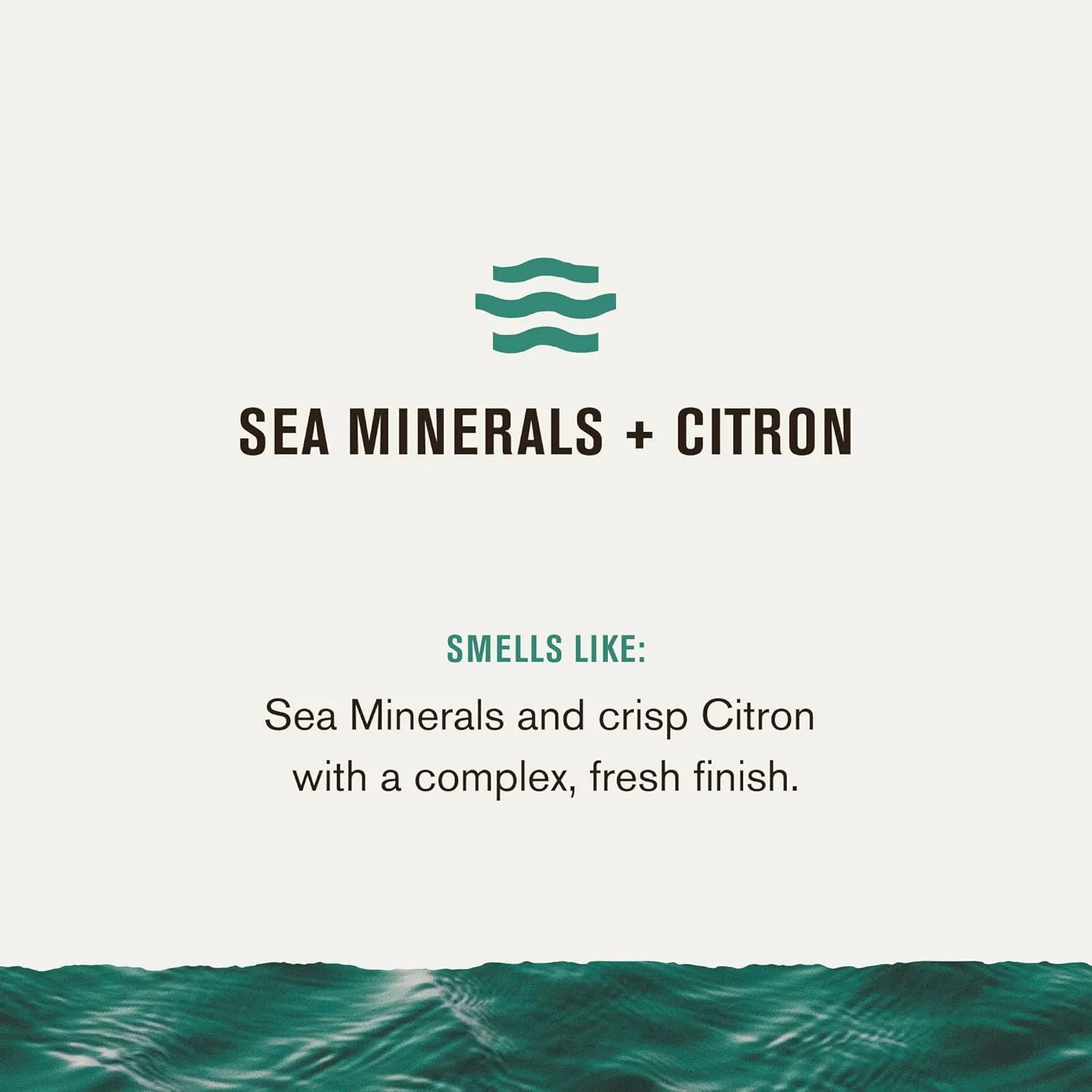 Every Man Jack Mens Sea Minerals   Citron Hand & Body Lotion for All Skin Types - Dermatologist Tested & Hypoallergenic - Nourish Skin with Lightweight Fast Absorbing Lotion - 13.5oz 2 Bottles