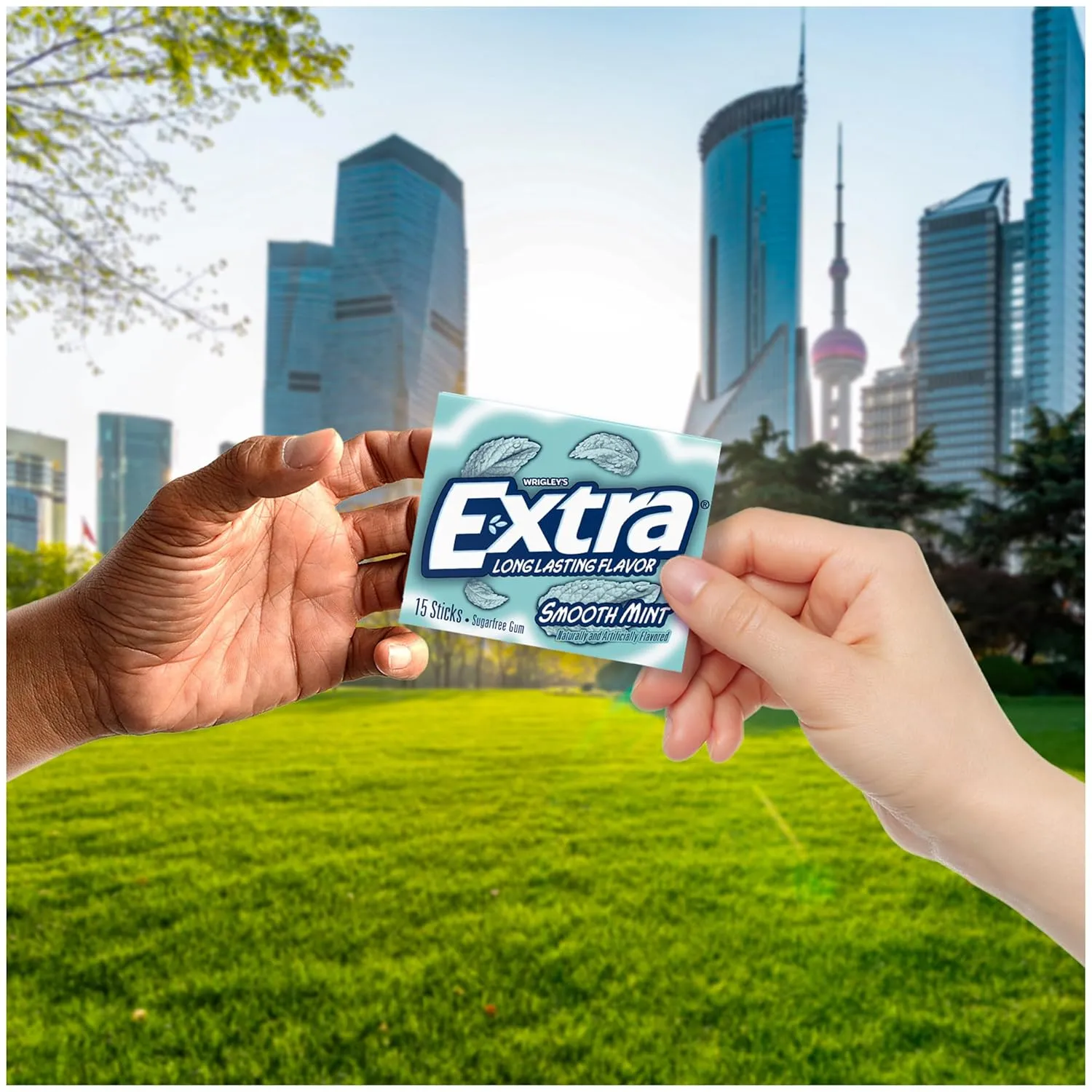 Extra Smooth Mint Sugarfree Gum 15 Count (Pack of 10)