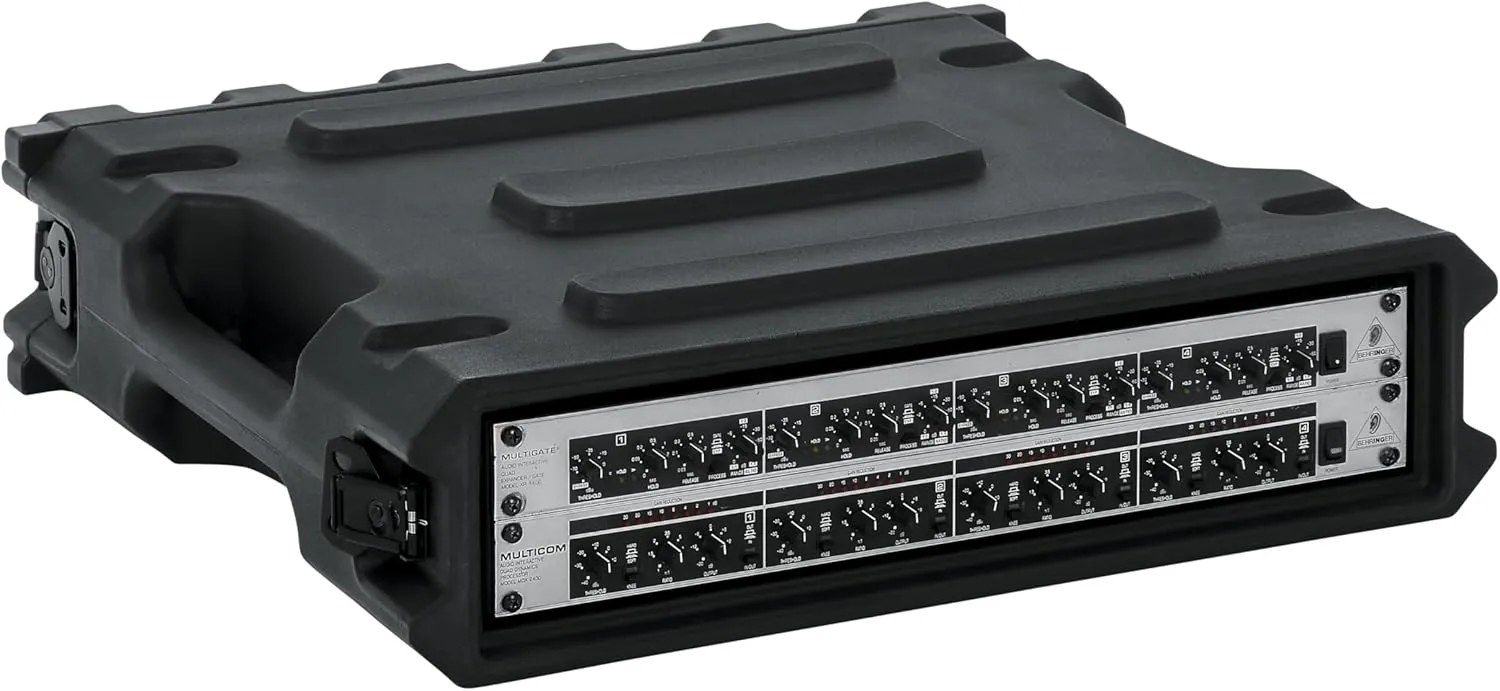 Gator Cases Pro Series Rotationally Molded 2U Rack Case with Standard 19" Depth, Made in USA (G-PRO-2U-19)