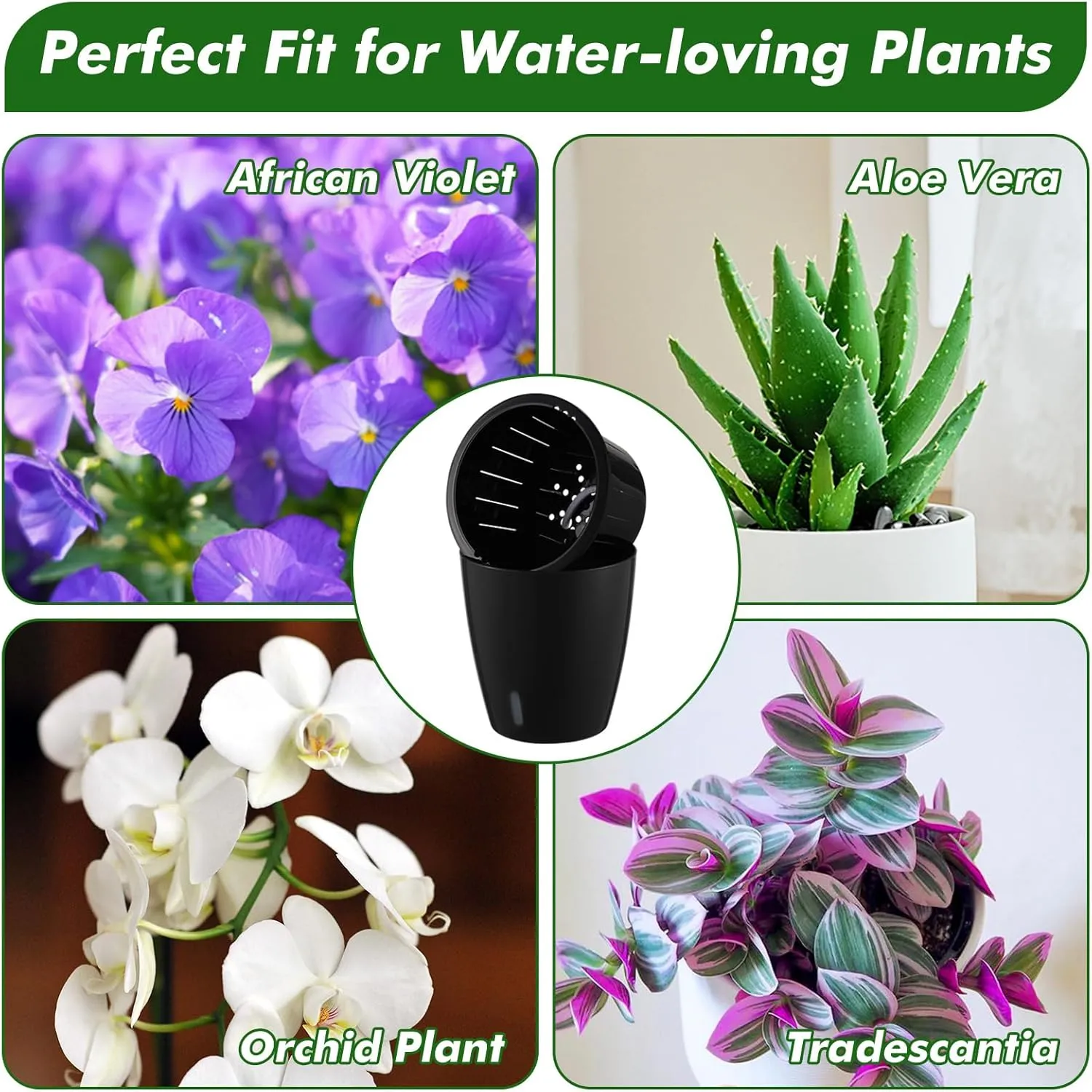 Planterhoma 6.7 Inch Self Watering Pots for Indoor Plants, 8 Packs Self Watering Planters for Orchid, Spider Plant, Devil's Ivy & African Violet, Water Indicator & Black Wick Pots, Black